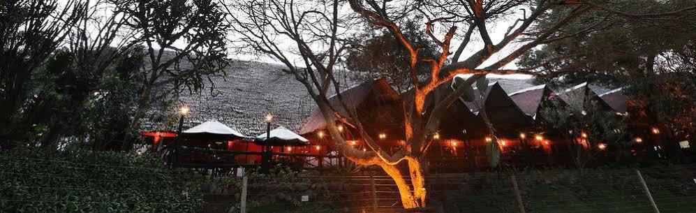 Mara River Lodge Aitong Buitenkant foto